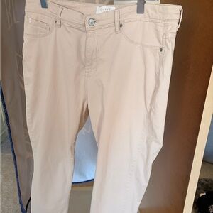 2 Pairs Curve appeal Straight Leg Women's Pants: grey and tan